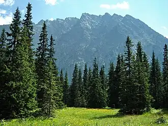 Kôprová dolina, Slowakei