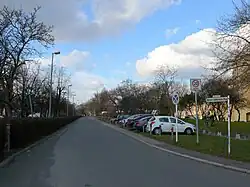 Eine asphaltierte, von zwei Autos befahrbare Straße in einem Wohnviertel mit sehr schmalem Gehweg rechts (etwa 1 Meter breit), beginnend mit einer leichten Kurve und einem dort aufgestellten Verkehrszeichen mit quadratischem weißen Schild oben, eine 20 in einem dickeren roten Kreis mit dem Wort „Zone“ darunter. Halteverbotsschild daneben, dahinter geparkte Autos quer zur Fahrbahn hinter Pfosten auf einer dünn begrünten Fläche (vermutlich Rasengittersteine) mit einer Betonkante mit aufgemalten Nummern vor den Autos. Links ist kein Gehweg, eine Hecke direkt neben dem Bordstein wirkt hier im Februar trist unter den Bäumen, ein anderes Bild zeigt, dass die Hecke im Frühjahr auch grün und hellgrün blühen kann. Weiter rechts hinter Bäumen ein hohes Gebäude.