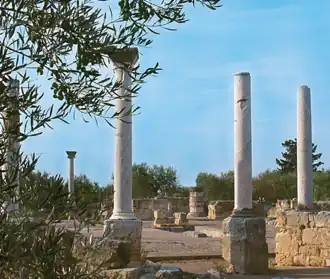 Überreste der Basilica San Leucio