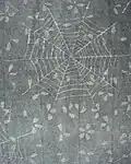 Japanisches Figurenpapier (Tengujo, weiß bedruckt), Grafikschutzpapier in der Zeitschrift PAN