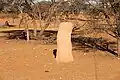 Termitenhügel in der Kalahari 24°55′01″S&nbsp;018°34′03″E-24.91694444444418.5675