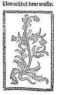Kleines Destillierbuch 1500