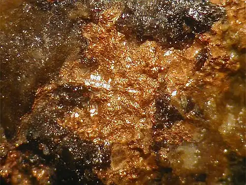 Auricuprid