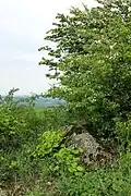 Das Naturdenkmal "Teufelsstein" am Waschberg besteht aus zwei großen Granit-Scherlingen.[3]