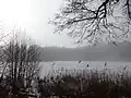 Briesensee