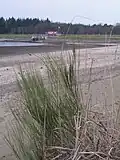 Thülsfelder Talsperre nach der Entleerung (März 2009)