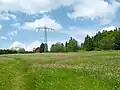 Ebertswiese im Frühsommer