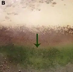 Gleicher Übergang an der Dragon Spring (beim Norris-Becken)