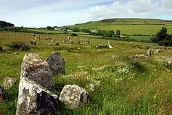 The Braaid