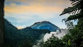 Berg Apo