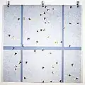 The Vinyls Sky lines II 1999