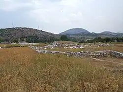 Doclea