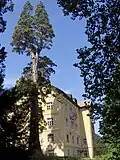 Therme mit exotischem Baum im Jahre 2005