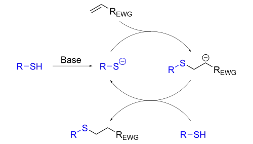Ionische Thiol-En-Reaktionen verlaufen über die konjugierte Addition eines Thiolat-Anions an ein Olefin (EWG = electron-withdrawing group, eine elektronenziehende Gruppe).