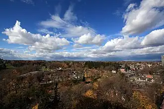 Thornhill
