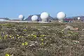 Detachment 3, Satel­litenbodenstation