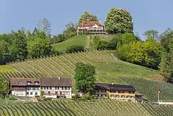 "Hindere Berg" u. Rest. Thurberg