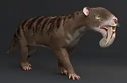 Rekonstruktion