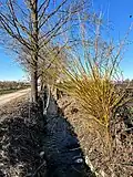 Ablauf Tiefengraben