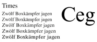Times Roman, Times New Roman PS MT, Times New Roman MT, Times Ten und Times Europa