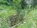 Der Weiher