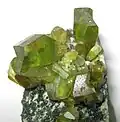 Kristallstufe mit grünlichen Titaniten aus dem Tormiqtal, Haramosh Mountains, Pakistan
