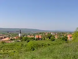Тител