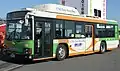 ERGA ohne Zugangsstufe Typ-B CNG KL-LV834L1(sitte)