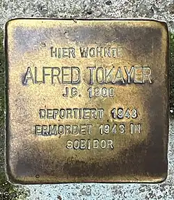 Hier wohnte ALFRED&nbsp;TOKAYER Jg. 1900 deportiert 1943 ermordet 1943 in Sobibor