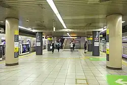 Bahnsteig der Hanzomon-Line und Den’entoshi-Linie