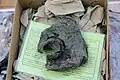 Das Froschlampenfragment aus dem 14.&nbsp;Jahrhundert