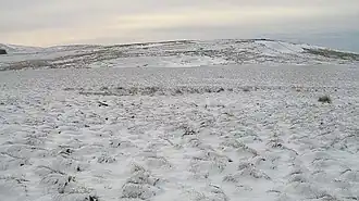 Torweaving Hill