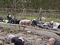 Tough Guy Race 2005