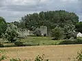 Burgruine