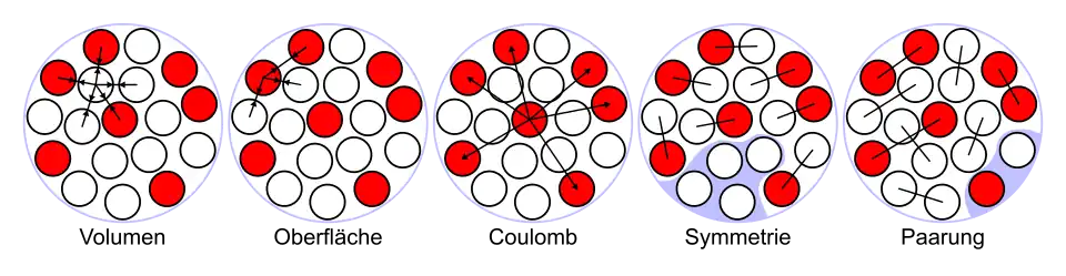 Tröpfchenmodell, dass die vier Bindungsarten eines Atomkerns visualisiert.