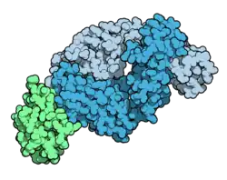 Tralokinumab