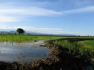 Landschaft