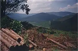 Landschaft bei Sabie