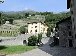 Weinberge in Traona