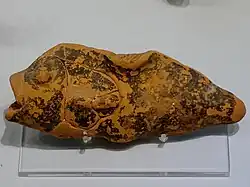 Fisch-Rhyton