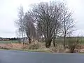 Trasse beim ehemaligen Bahnübergang Grumbacher Straße bei Reichenbach (2020)