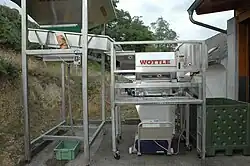 Traubenübernahmestelle: links oben Fülltrichter; Mitte Abbeermaschine mit Maischetrichter und Maischepumpe; rechts Behälter für Traubenkämme (Rappen)