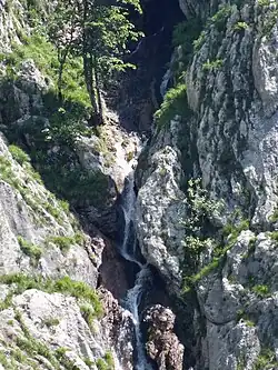 Der Traunursprung oberhalb des Kammersees