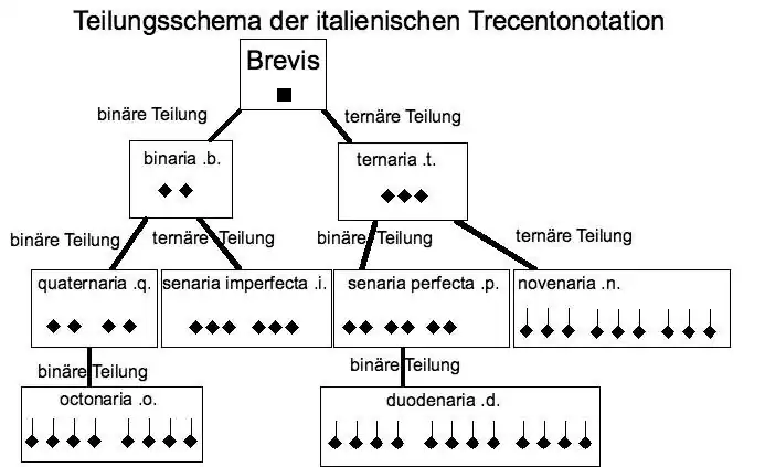Schema der verschiedenen Teilungsmöglichkeiten der Brevis in der italienischen Trecento-Notation