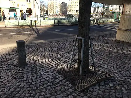 Stammschutz, der nicht mehr zerstörungsfrei entfernt werden kann, Helsinki