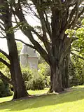 Ansicht von Trelissick