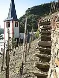 6. Terrassentreppe im alten Teil des Alkener Burgbergs