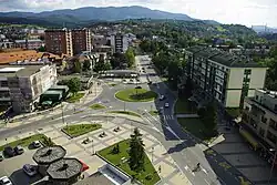 Лозница