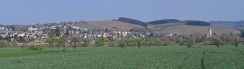 Ruwer von Pfalzel aus gesehen
