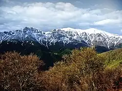 Alte Buchenwälder und Buchenurwälder der Karpaten und anderer Regionen Europas